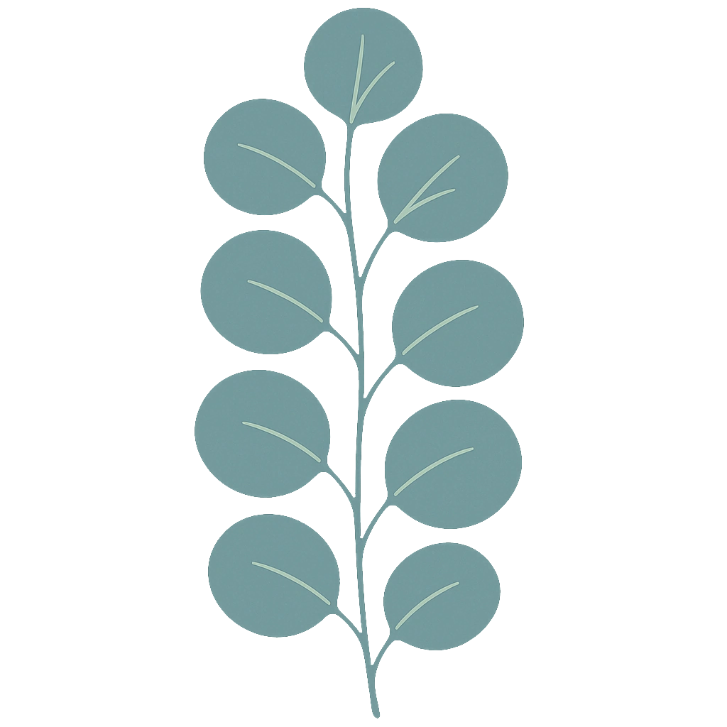 Eucalyptus, drawn flat with hairline veins