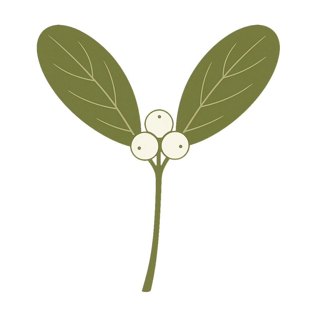Mistletoe with berries, drawn flat