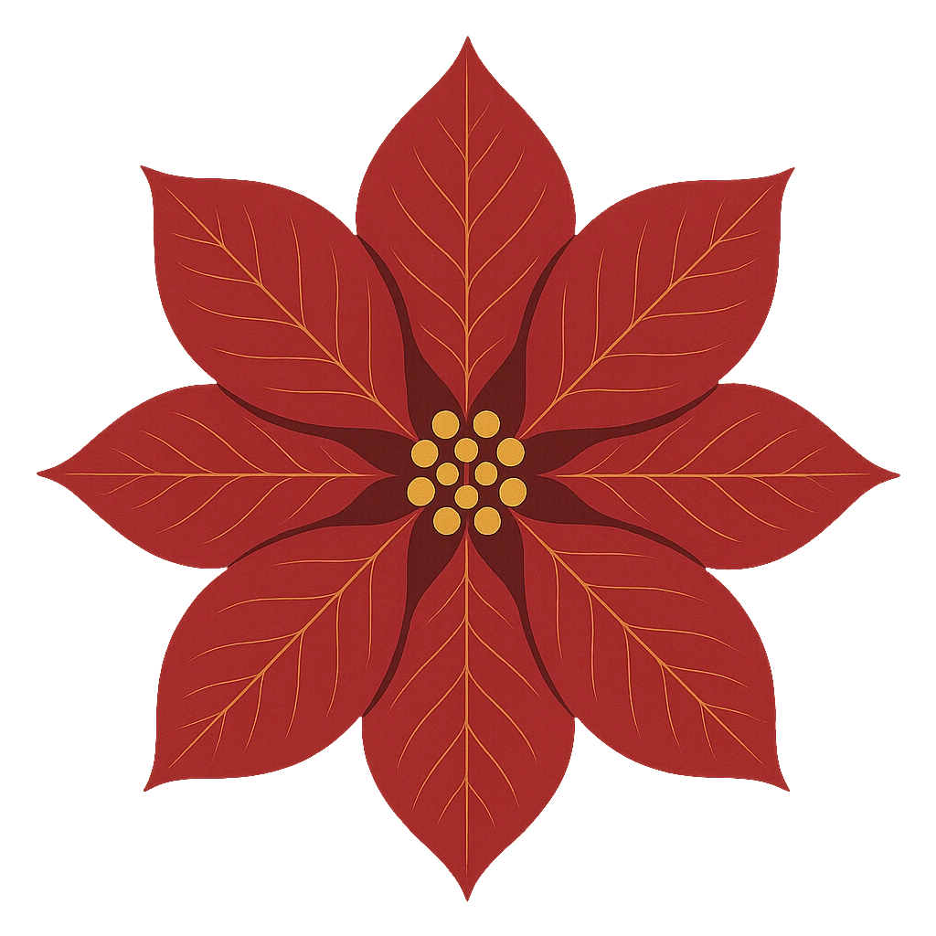 Crimson poinsettia, drawn flat